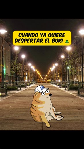 240K views · 8.2K reactions | #poolbluesv #MemesSalvadoreños #cheems #cheemsmeme #navidad2025 #elbuki #ElSalvador | Pool Blue | Facebook