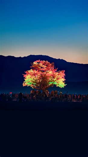 48 reactions | The original Tree of Ténéré had the function to bring...