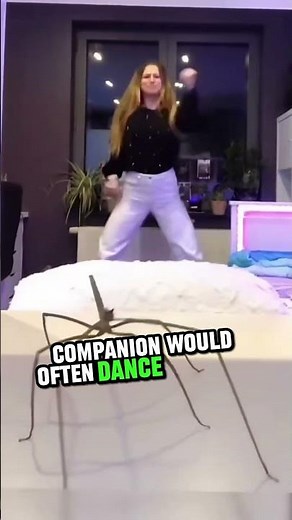 The Girl Who Danced with Bugs 😂❤️