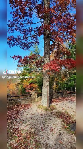 Sky Bridge Overlook — where the forest opens its arms and reminds you how small your worries really are. 🍂🌄 High above the trees at Natural Bridge State Park, Sky Bridge Overlook offers one of the most peaceful views in the Gorge. A quiet stone path, bursts of Appalachian color, and an overlook that feels earned—not rushed. This isn’t just a viewpoint. It’s a pause. A deep breath. A moment where the land gently reminds you to look up and take it all in. If you’re exploring Natural Bridge, Sky