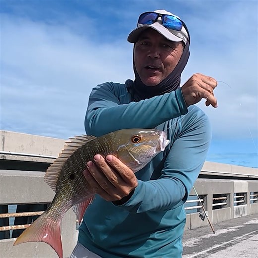 Florida Keys Mutton Snapper #fishing #fyp #viral #fishon | Fish On Channel