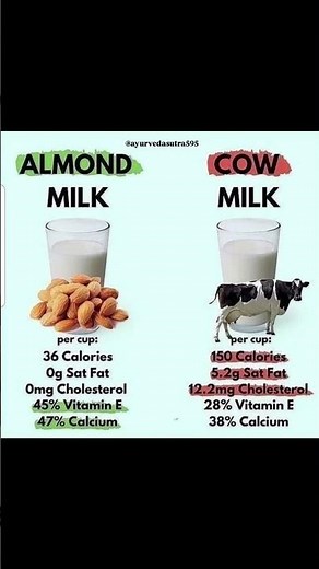 🥛 Almond Milk vs Cow Milk 🥛 | Best for Health & Weight Loss?