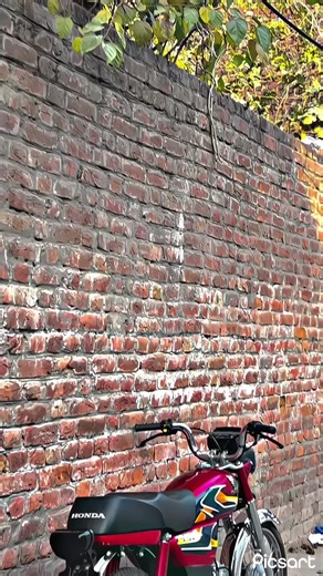 Aeroplane Adventures: Discover New Heights