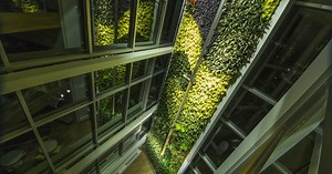 "World's tallest" interior living wall unveiled in Quebec