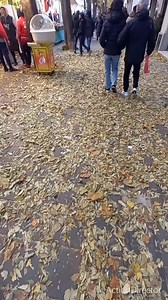 La nostra vecchia fiera di San Nicolò in Viale (la vecchia Contrada dell'Acquedotto) resta nei ricordi di tanti... i grandi li hanno fissati nella memoria, i piccoli li scoprono oggi, ... gli odori dello zucchero caramellato e filato, e quelli delle frittelle. Certamente i tempi sono passati, la fiera di una volta è irripetibile, ma ugualmente fate due passi con noi... è la tradizione che continua. Fino all'8 dicembre. | Trieste per Trieste