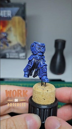 Blue Champion! #warhammer #warhammer40k #wip #ultramarines
