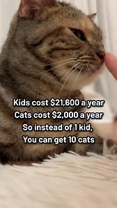 Cat math is that easy! 🐈 . . . #CatTherapy #PositivePaws #catlife #catsofinstagram #igcats #instacat #ilovecat #catreels #kittycat | Cat Lovers Club