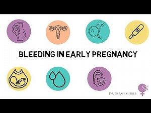 Bleeding in Early Pregnancy