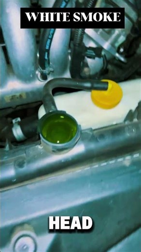 Engine Shaking & White Smoke #smoke #automobile