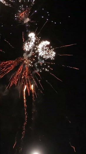 Argento Harpyie 2x #fireworks #feuerwerk #pyro #pyrotechnik #independenceday