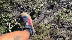 15 reactions | Got up early this morning as I was looking forward to...