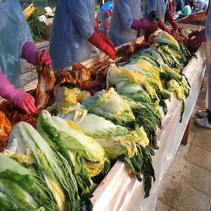 250K views · 3.8K reactions | Making kimchi with 600 cabbages-korean food kimchi | My Pub | Facebook
