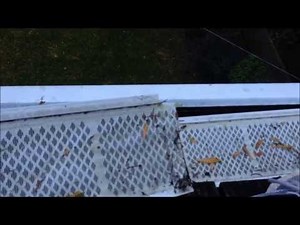 1-year after installation - Amerimax 85470 Gutter guard review