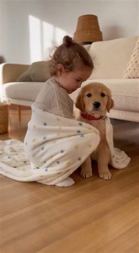#cutekids #puppyfun #adorablemoment #playtimefun #wholesome | CuddlePups
