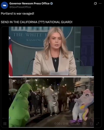 1.5M views · 59K reactions | "War ravaged Portland" 藍 | U.S. Democratic Socialists | Facebook