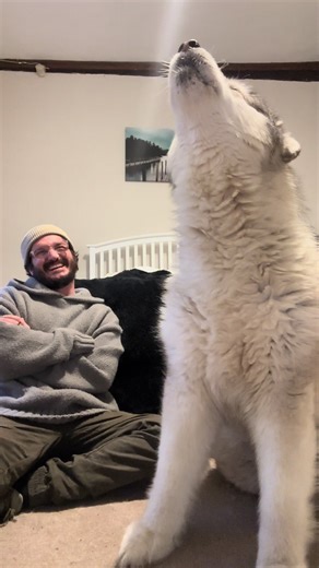 Discover the Soulful Singing Dog Phenomenon