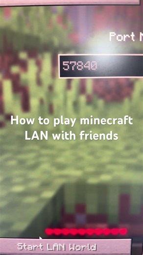 How to play minecraft LAN with friends