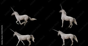 Set of unicorn realistic animation. Isolated video including alpha channel allows to add background in post-production. Element for visual effects.