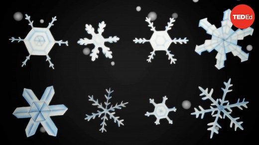 The science of snowflakes