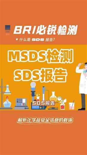 什么是 SDS 报告？