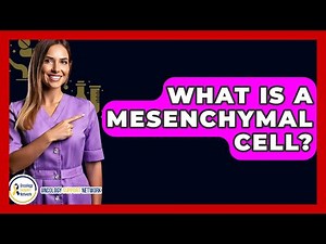 What Is A Mesenchymal Cell? - Oncology Support Network