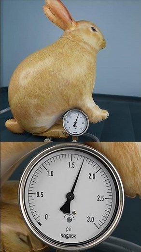 Overinflating the 24-Inch Tall Bunny Rabbit from Jet Creations