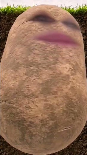 I'm a potato (USE THIS SOUND!)#potato #memes #funny