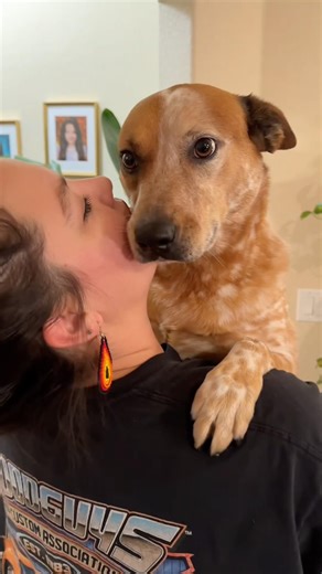 Oliver is just a baby that loves his mommy 🥰