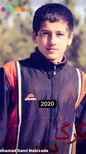 Informative Timeline from 2020 to 2026