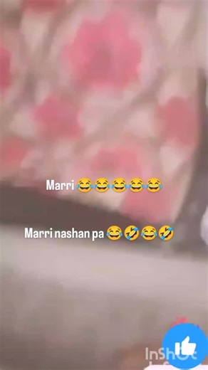 alyx star ⭐ on Instagram: "1997년 개봉한 영화 Titanic은 잭과 로즈의 운명적인 사랑을 통해 비극 속에서도 오래 남는 감정의 깊이를 보여주는 작품입니다. 화려한 연출보다 인물의 감정에 더 집중한 제임스 카메론 감독의 스타일은 지금 다시 봐도 묘하게 가슴을 울리죠. 배가 침몰하는 장면이 아닌, 두 사람이 서로를 바라보던 순간들이 더 강하게 기억에 남는 영화이기도 합니다. 이 감정을 완성해주는 곡이 바로 셀린 디온의 **“My Heart Will Go On”**입니다. 처음 들으면 잔잔한데, 어느 순간 자연스럽게 가슴이 벅차오르는 느낌을 줍니다. 특히 후반부의 고조되는 보컬은 영화 속 잭과 로즈의 마지막 장면과 겹쳐지면서 괜히 마음이 서늘해지기도 하고요. 많은 분들이 “이 노래가 나오면 왜 그 장면이 자동으로 떠오르는지 모르겠다”고 말하는데, 그만큼 영화와 음악이 자연스럽게 엮여 있는 곡입니다. 1998년 아카데미 주제가상을 비롯해 여러 상을 휩쓴 건 단지 