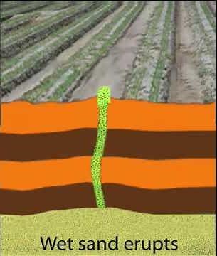 Sand Boil Forms -- Sand Volcano [educational]