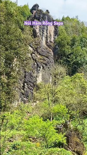 Panoramic view of the most beautiful flower garden in Sa Pa - Ham Rong Mountain Eco-tourism Area.