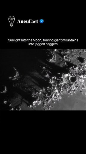 mountains of moon.
