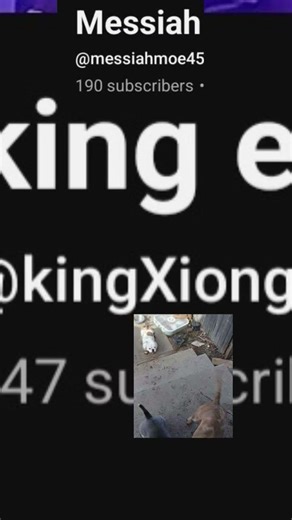 messiah you can do nothing litte boy you can not do that little boy bro my dog can get you bro he