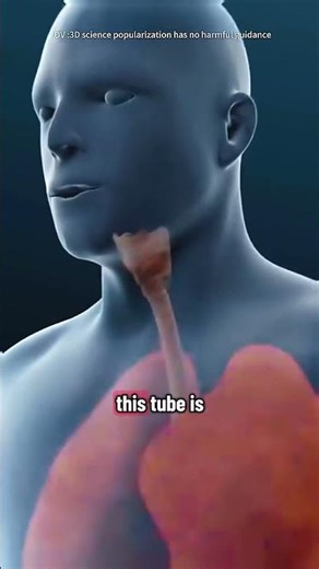 How Bronchoscopy Is Done (3D Animation)#medical3danimation##Bronchoscopy#LungHealth