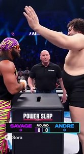 Andre the Giant Slap Fight vs Macho Man. Randy Savage
