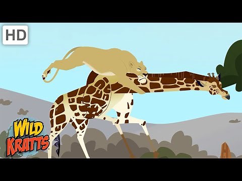 Creature Battles! | Every Creature Showdown Part 10 | Wild Kratts