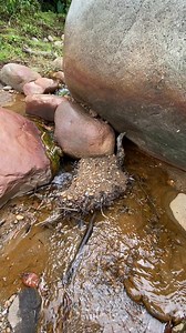 1.6M views · 7.8K reactions | gold prospecting 2024, finding gold in sand, gold prospecting for beginners#viral #mininggold #lookingforgold #panningforgold #goldprospecting #treasure #panningforgold #findinggold #goldnugget #goldmining | Anis Gold Prospecting | Facebook