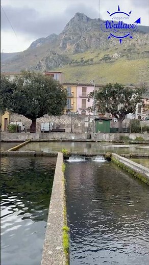 ALLEVAMENTO di TROTE a VENAFRO (IS) #viaggiaconwallace #borghidaraccontare