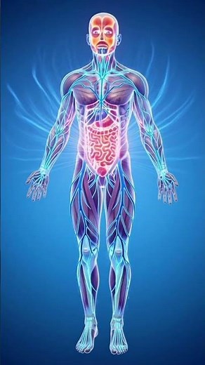 Filtered Water – What Really Happens Inside Your Body? 😱💧#FilteredWater #Hydration #HumanBody