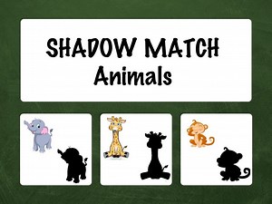 Shadow Match - Animals (EN UK)