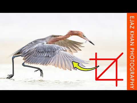 Cropping Is Not Optional in Photography Most Get This Wrong!!