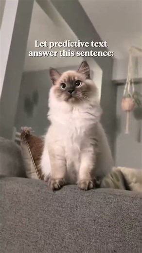 Let predictive text answer this question...