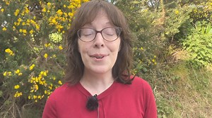 Following on from the post about the cuckoo, here's a song Aileen wrote back in 2022 about the cuckoo and the coming of summer. She shares it with children in primary schools in the run up to May and they love it. Some of you will recognise the little cuckoo verse that ye had growing up. I recorded this today with 4 other songs, as they feature in our new book 'The May Bush in County Wexford'. These will be uploaded to YouTube and there will be QR codes in the book that you can scan and listen t