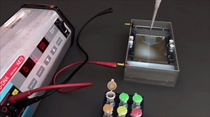 282K views · 3.4K reactions | DNA gel electrophoresis... | All About Molecular Biology | Facebook
