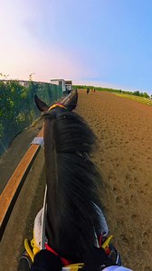 15K views · 1.2K reactions | Galloping a Racehorse on a beautiful Morning. #horsephotography #gallopinghorses #horseracing #racehorses #thoroughbreds #equinephotography #horses #ponies #thoroughbredsofinstagram #horsevideos | Ramon F Moya | Facebook