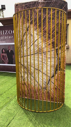 picture stand decorations in wedding back drop stand for wedding wedding banner in nigeria wedding photos on wall stand up wedding ceremony photo display wedding #viral #weddingtiktok #trending #fun #kelvsevent #tiktoknigeria #foryou #weddingreception #titkoknaij wedding stand