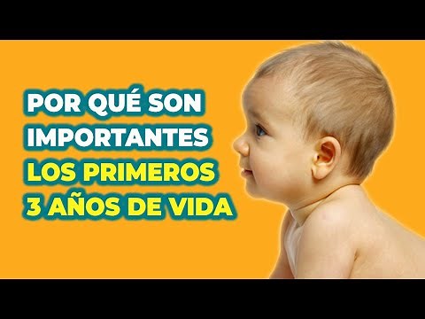 Neurodevelopment in the first three years of life - Importance of the first three years of life
