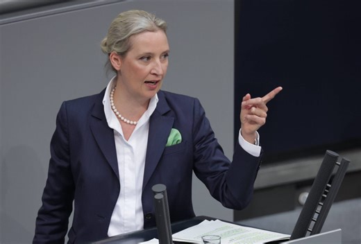 Alice Weidel im Bundestag: "Gehen Sie arbeiten!"