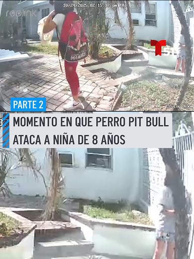 Ataque de Pit Bull a Niña en Hollywood, Florida